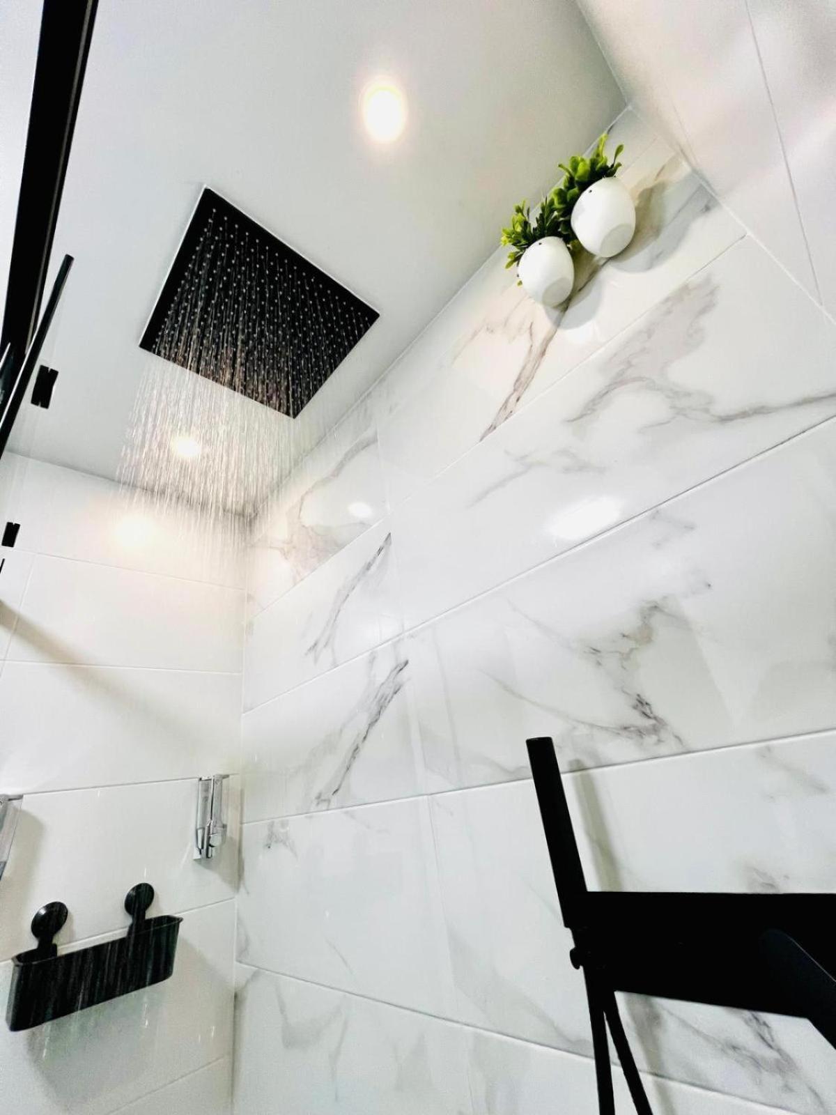 Domus Citrus Villa Mérida Dış mekan fotoğraf